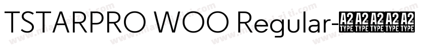 TSTARPRO WOO Regular字体转换